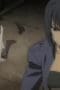 Nonton film Canaan Season 1 Episode 11 terbaru di Dutamovie21 Nonton film Canaan Season 1 Episode 11 terbaru di Dutamovie21
