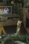 Nonton film The Girl in the Mirror Season 1 Episode 7 terbaru di Dutamovie21 Nonton film The Girl in the Mirror Season 1 Episode 7 terbaru di Dutamovie21