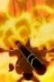 Nonton film One Piece Season 10 Episode 346 terbaru di Dutamovie21 Nonton film One Piece Season 10 Episode 346 terbaru di Dutamovie21