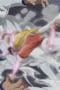 Nonton film One Piece Season 13 Episode 480 terbaru di Dutamovie21 Nonton film One Piece Season 13 Episode 480 terbaru di Dutamovie21