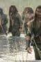 Nonton film Black Sails Season 2 Episode 8 terbaru di Dutamovie21 Nonton film Black Sails Season 2 Episode 8 terbaru di Dutamovie21