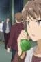 Nonton film Rascal Does Not Dream of Bunny Girl Senpai Season 1 Episode 2 terbaru di Dutamovie21 Nonton film Rascal Does Not Dream of Bunny Girl Senpai Season 1 Episode 2 terbaru di Dutamovie21