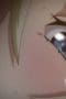 Nonton film Busty Princess Hypnosis Season 1 Episode 2 terbaru di Dutamovie21 Nonton film Busty Princess Hypnosis Season 1 Episode 2 terbaru di Dutamovie21