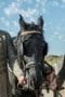 Nonton film Black Sails Season 3 Episode 5 terbaru di Dutamovie21 Nonton film Black Sails Season 3 Episode 5 terbaru di Dutamovie21