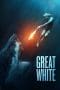 Nonton film Great White (2021) terbaru di Dutamovie21 Nonton film Great White (2021) terbaru di Dutamovie21