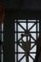 Nonton film Fringe Season 3 Episode 21 terbaru di Dutamovie21 Nonton film Fringe Season 3 Episode 21 terbaru di Dutamovie21