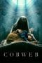 Nonton film Cobweb (2023) terbaru di Dutamovie21 Nonton film Cobweb (2023) terbaru di Dutamovie21