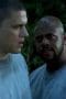 Nonton film Prison Break Season 2 Episode 1 terbaru di Dutamovie21 Nonton film Prison Break Season 2 Episode 1 terbaru di Dutamovie21