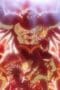 Nonton film Dragon Quest: The Adventure of Dai Season 1 Episode 73 terbaru di Dutamovie21 Nonton film Dragon Quest: The Adventure of Dai Season 1 Episode 73 terbaru di Dutamovie21