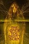 Nonton film The Ones You Didn’t Burn (2022) terbaru di Dutamovie21 Nonton film The Ones You Didn’t Burn (2022) terbaru di Dutamovie21
