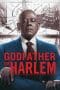 Nonton film Godfather of Harlem Season 2 (2021) terbaru di Dutamovie21 Nonton film Godfather of Harlem Season 2 (2021) terbaru di Dutamovie21