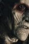 Nonton film Van Helsing Season 2 Episode 3 terbaru di Dutamovie21 Nonton film Van Helsing Season 2 Episode 3 terbaru di Dutamovie21