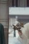 Nonton film Mysterious Lotus Casebook Season 1 Episode 4 terbaru di Dutamovie21 Nonton film Mysterious Lotus Casebook Season 1 Episode 4 terbaru di Dutamovie21