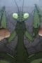 Nonton film Baki Hanma Season 1 Episode 2 terbaru di Dutamovie21 Nonton film Baki Hanma Season 1 Episode 2 terbaru di Dutamovie21