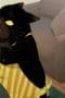 Nonton film The Masterful Cat Is Depressed Again Today Season 1 Episode 6 terbaru di Dutamovie21 Nonton film The Masterful Cat Is Depressed Again Today Season 1 Episode 6 terbaru di Dutamovie21