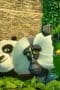 Nonton film Kung Fu Panda: The Dragon Knight Season 3 Episode 4 terbaru di Dutamovie21 Nonton film Kung Fu Panda: The Dragon Knight Season 3 Episode 4 terbaru di Dutamovie21