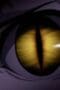 Nonton film Claymore Season 1 Episode 4 terbaru di Dutamovie21 Nonton film Claymore Season 1 Episode 4 terbaru di Dutamovie21