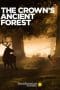 Nonton film The Crown’s Ancient Forest (2021) terbaru di Dutamovie21 Nonton film The Crown’s Ancient Forest (2021) terbaru di Dutamovie21