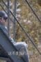 Nonton film Are You Safe? Season 1 Episode 30 terbaru di Dutamovie21 Nonton film Are You Safe? Season 1 Episode 30 terbaru di Dutamovie21