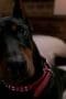 Nonton film Supernatural Season 8 Episode 15 terbaru di Dutamovie21 Nonton film Supernatural Season 8 Episode 15 terbaru di Dutamovie21