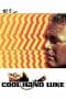 Nonton film Cool Hand Luke (1967) terbaru di Dutamovie21 Nonton film Cool Hand Luke (1967) terbaru di Dutamovie21