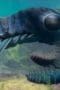 Nonton film Life on Our Planet Season 1 Episode 2 terbaru di Dutamovie21 Nonton film Life on Our Planet Season 1 Episode 2 terbaru di Dutamovie21