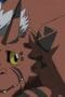 Nonton film Digimon Tamers Season 1 Episode 9 terbaru di Dutamovie21 Nonton film Digimon Tamers Season 1 Episode 9 terbaru di Dutamovie21