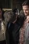 Nonton film Supernatural Season 14 Episode 14 terbaru di Dutamovie21 Nonton film Supernatural Season 14 Episode 14 terbaru di Dutamovie21