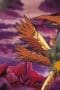 Nonton film Digimon Tamers Season 1 Episode 37 terbaru di Dutamovie21 Nonton film Digimon Tamers Season 1 Episode 37 terbaru di Dutamovie21