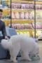 Nonton film My Precious Season 1 Episode 2 terbaru di Dutamovie21 Nonton film My Precious Season 1 Episode 2 terbaru di Dutamovie21