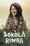 Nonton film Sokola Rimba (2013) terbaru di Dutamovie21 Nonton film Sokola Rimba (2013) terbaru di Dutamovie21