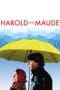 Nonton film Harold and Maude (1971) terbaru di Dutamovie21 Nonton film Harold and Maude (1971) terbaru di Dutamovie21