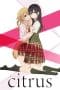 Nonton film Citrus (2018) terbaru di Dutamovie21 Nonton film Citrus (2018) terbaru di Dutamovie21