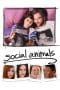 Nonton film Social Animals (2018) terbaru di Dutamovie21 Nonton film Social Animals (2018) terbaru di Dutamovie21