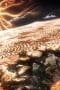 Nonton film JoJo’s Bizarre Adventure Season 2 Episode 18 terbaru di Dutamovie21 Nonton film JoJo’s Bizarre Adventure Season 2 Episode 18 terbaru di Dutamovie21