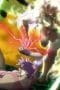 Nonton film JoJo’s Bizarre Adventure Season 1 Episode 26 terbaru di Dutamovie21 Nonton film JoJo’s Bizarre Adventure Season 1 Episode 26 terbaru di Dutamovie21