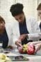 Nonton film Grey’s Anatomy Season 11 Episode 10 terbaru di Dutamovie21 Nonton film Grey’s Anatomy Season 11 Episode 10 terbaru di Dutamovie21