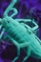 Nonton film Alien Worlds Season 1 Episode 2 terbaru di Dutamovie21 Nonton film Alien Worlds Season 1 Episode 2 terbaru di Dutamovie21