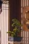 Nonton film Sword and Fairy 4 Season 1 Episode 11 terbaru di Dutamovie21 Nonton film Sword and Fairy 4 Season 1 Episode 11 terbaru di Dutamovie21