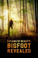 Nonton film A Flash of Beauty: Bigfoot Revealed (2022) terbaru di Dutamovie21