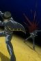 Nonton film Gintama Season 3 Episode 6 terbaru di Dutamovie21 Nonton film Gintama Season 3 Episode 6 terbaru di Dutamovie21