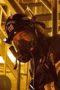 Nonton film 9-1-1 Season 4 Episode 5 terbaru di Dutamovie21 Nonton film 9-1-1 Season 4 Episode 5 terbaru di Dutamovie21