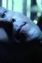 Nonton film Smallville Season 6 Episode 2 terbaru di Dutamovie21 Nonton film Smallville Season 6 Episode 2 terbaru di Dutamovie21