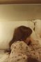 Nonton film Come and Hug Me Season 1 Episode 21 terbaru di Dutamovie21 Nonton film Come and Hug Me Season 1 Episode 21 terbaru di Dutamovie21