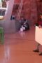 Nonton film Brain Games Season 2 Episode 3 terbaru di Dutamovie21 Nonton film Brain Games Season 2 Episode 3 terbaru di Dutamovie21