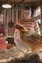 Nonton film Young Sheldon Season 3 Episode 11 terbaru di Dutamovie21