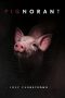 Nonton film Pignorant (2024) terbaru di Dutamovie21 Nonton film Pignorant (2024) terbaru di Dutamovie21