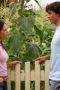 Nonton film Smallville Season 3 Episode 3 terbaru di Dutamovie21 Nonton film Smallville Season 3 Episode 3 terbaru di Dutamovie21