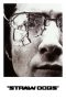 Nonton film Straw Dogs (1971) terbaru di Dutamovie21 Nonton film Straw Dogs (1971) terbaru di Dutamovie21