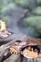 Nonton film Ashita no Nadja Season 1 Episode 12 terbaru di Dutamovie21 Nonton film Ashita no Nadja Season 1 Episode 12 terbaru di Dutamovie21